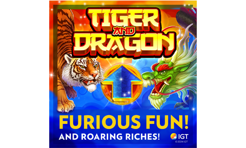 Tiger & Dragon